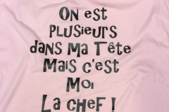 on-est-plusieurs-dans-ma-tete